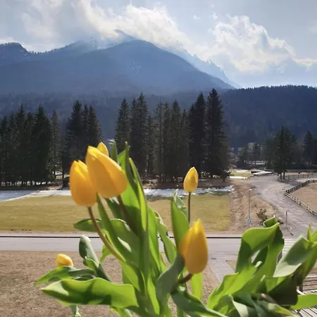 Apartma Kurji Vrh - Chicken Kranjska Gora