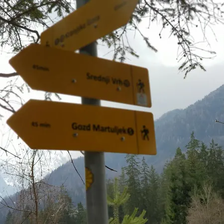 Apartma Kurji Vrh - Chicken * Kranjska Gora