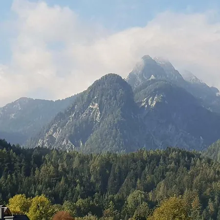 Apartma Kurji Vrh - Chicken *