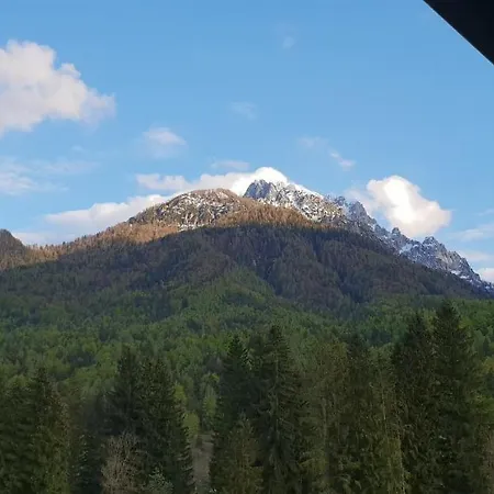 Apartma Kurji Vrh - Chicken