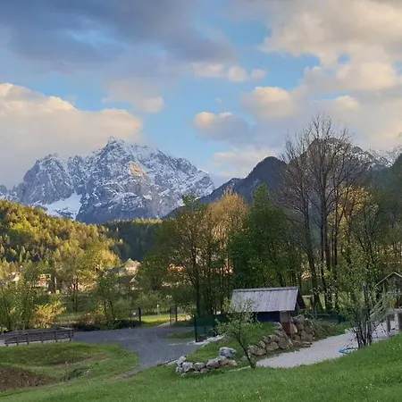 Apartma Kurji Vrh - Chicken Kranjska Gora
