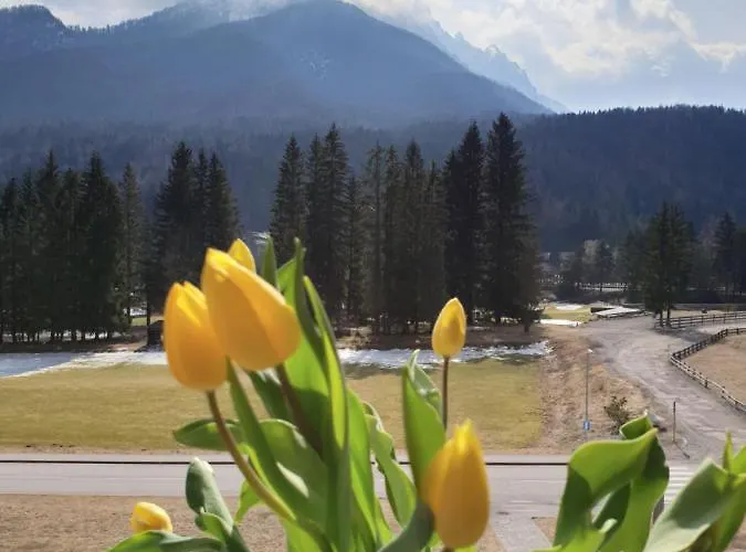 Apartma Kurji Vrh - Chicken Kranjska Gora