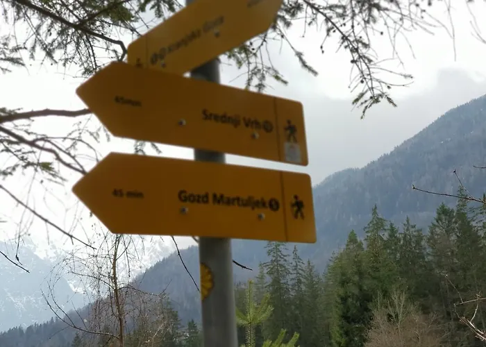 Apartma Kurji Vrh - Chicken * Kranjska Gora