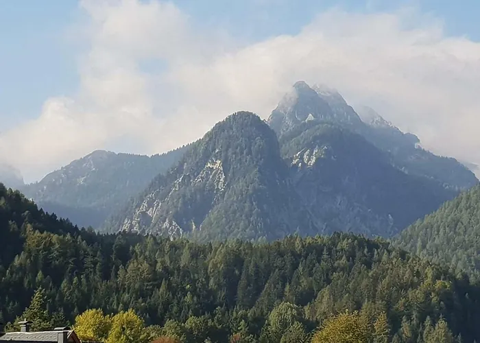 Apartma Kurji Vrh - Chicken *