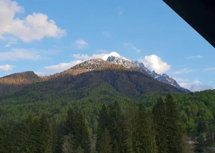 Apartma Kurji Vrh - Chicken