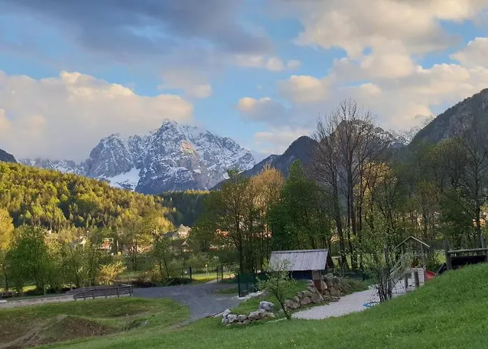 Apartma Kurji Vrh - Chicken Kranjska Gora